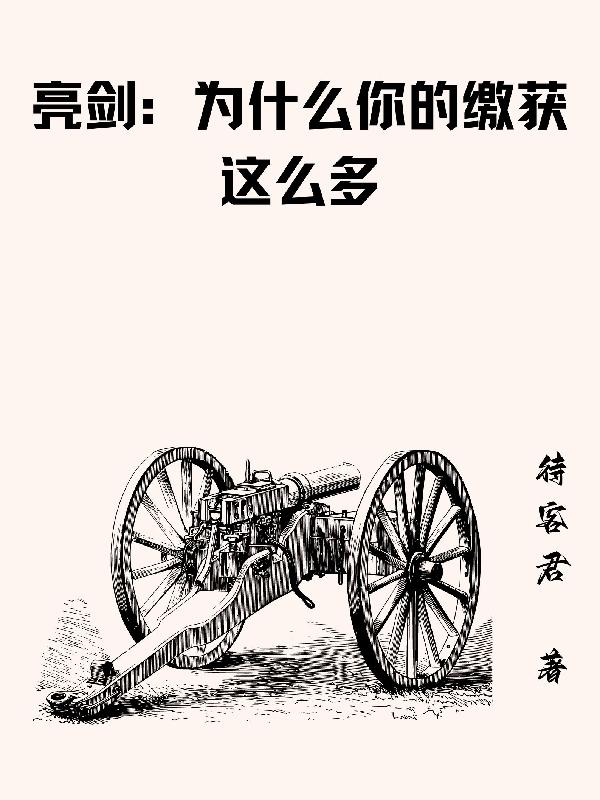 亮剑为什么那么火